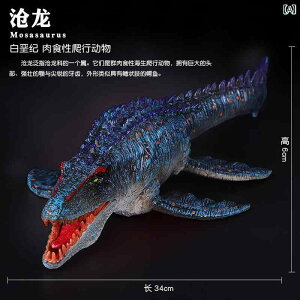  tBMA H H Cm  \tg v[g RNV `bN q Ó i ߋ v[g