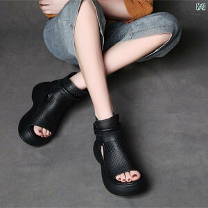 fB[X  U[u[c vC  ŏw v  T_ nC Jbg [} V[Y vbg tH[ q[ g