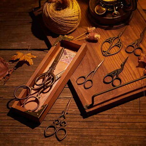 g  ƒ ߃TCY RpNg ʐ^Be  wi Vv mX^WbN  `[t