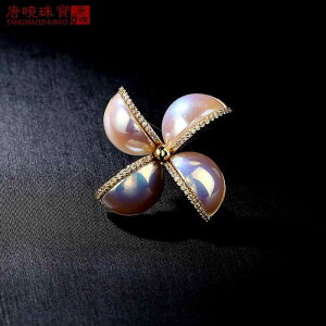 R[g fB[X u[`  w Ǝ nCGh Vv t@bV }yC t[ C  J[fBK RT[W