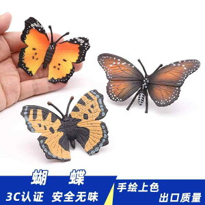 ���X ���� �t�B�M���A �͌^ �������� �z�r�[ �l�` �R���N�V���� �C���e���A �~�j�`���A ���A�� �o�^�t���C ���� �Ȋw ���� �[�� �v���[���g �q��