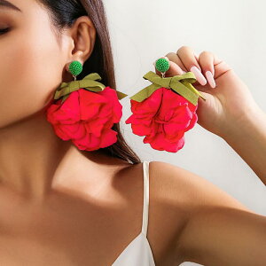 sAX fB[X GXjbN {w~A  AJ WG[ n 傫  C O { zf[ p