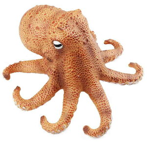 ^R tO Jj Cm tBMA ͌^  zr[ l` RNV CeA ~j`A A \tgo[ `bN q Mtg