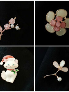 WPbg u[`    킢 qL Ԗ u[`  s X[c VN 蕨