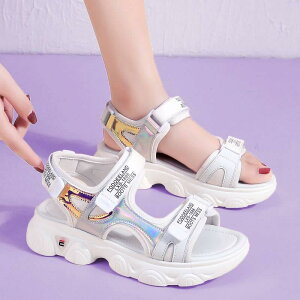 XJ[g fB[X  T_ X|[c T_ AE^[ wp  [} T_ 傫TCY 41 ` 43