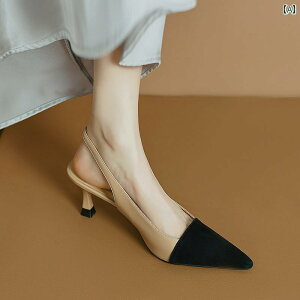 fB[X  ~[ p[eB[  v J[}b`O  T_  |CebhgD nCq[ ׂq[ t@bV obN