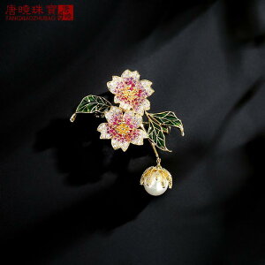 WPbg u[`  X[c s Ǝ w nCGh ͋C WR ܕى   RT[W I