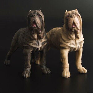   tBMA  l` h[ zr[ q V~[V CeA RNV v[g A u ~j`A hbO