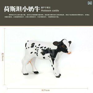 쐶  E tBMA Y obt@[  ő `bN RNV  i LbY q Ó