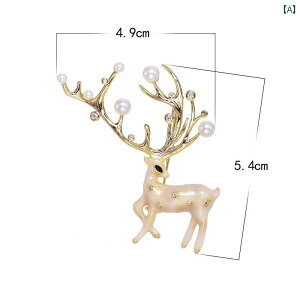 R[g u[` Zj[  NX}X   fB[X Z[^[ YX[c RT[Ws ANZT[ A[eBt@Ng  H~