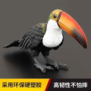  tBMA ͌^ l`  zr[ K[fjO I[ig q V~[V  IInV v[g ~j`A CeA RNV u A