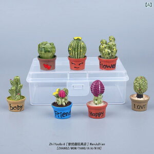 ミニチュア おもちゃ キッズ ドールハウス ミニ フィギュア かわいい サボテン 多肉植物 鉢植え デスクトップ おしゃれ 植物 小さめ 装飾品
