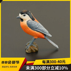  tBMA ͌^ l`  zr[ K[fjO I[ig RNV CeA ~j`A o[h q V~[V   v[g A u