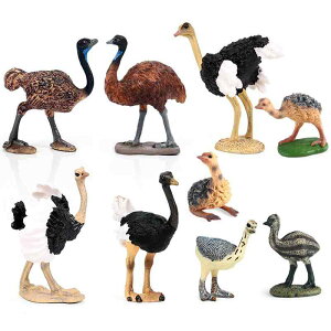  tBMA ͌^ l`  zr[ q _`E G~[ RNV CeA ~j`A v[g u  IuWF