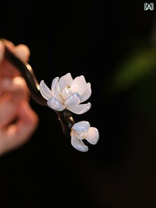 wAs 񂴂 wAANZT[   fB[X fB[X   sN AbvwA cqwA ԏ f  킢 Vv a `Ci