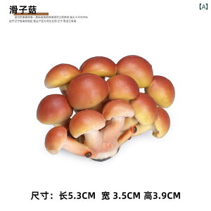 tBMA 쐶 LmR ő   }c^P ^PmR V[  i Mtg `bN RNV jZbNX