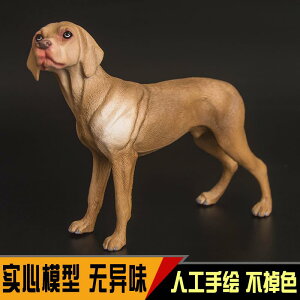   tBMA  l` h[ zr[ q j̎q ̎q v[g RNV CeA ~j`A 킢 A