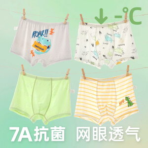 LbYt@bV {NT[pc  u[t  V[c  Ђ  K  ʋC _炩 Ci[ JWA 킢 LbY  w ߗi q j̎q