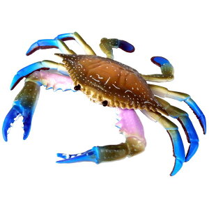 Jj Cm tBMA ͌^  zr[ l` RNV CeA ~j`A A q `bN v[g 