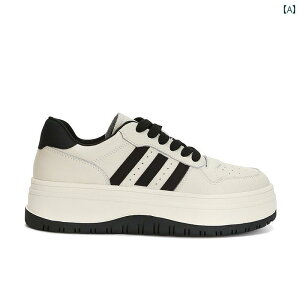 Xj[J[  fB[X V[Y t@bV Vv JWA W[ ʋ ʊw fC[ }`V[