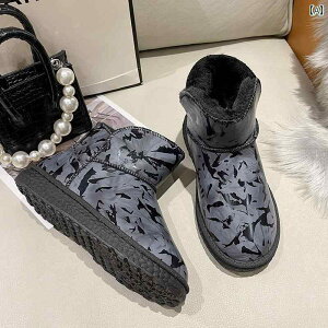 fB[X h V[gu[c h g p Xm[u[c ~ N   Rbg u[c p C