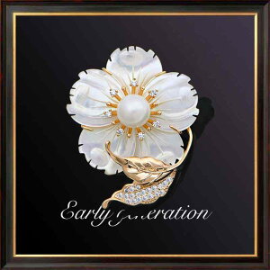 ANZT[ fB[X u[`  w 炭  VF u[` RT[W   X[c s K Vv