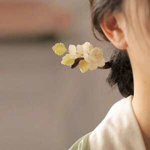 wAwAANZT[ 񂴂 wAs   ԕ   l ̓ Mtg g  _ `Ci g fB[X Vv i` i Be  