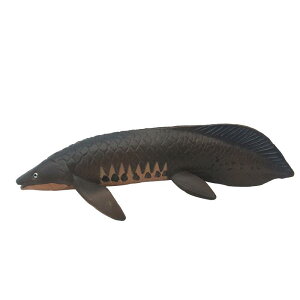  Cm tBMA ͌^  zr[ l` RNV CeA ~j`A A q v[g  tO Mы