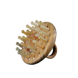 wAPA }bT[WR[   Mtg uV PA  GXe    E  G fB[X g fB[X