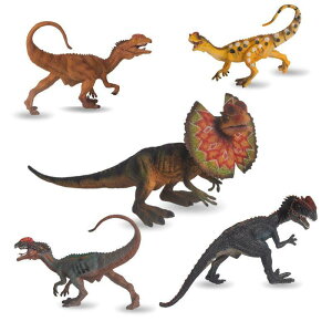  tBMA ͌^ l`  zr[ WI V~[V  q ̎q j̎q RNV v[g ~j`A CeA