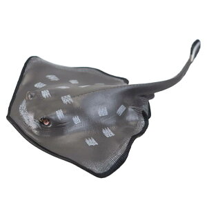 GC Cm tBMA ͌^  zr[ l` RNV CeA ~j`A A  }^ q v[g `bN 