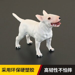   tBMA  l` h[ zr[ q ߋ A V~[V RNV ~j`A CeA 킢 v[g u