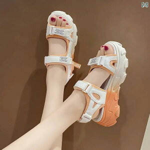 fB[X  T_   K y AE^[ vbg tH[ \[ pp r[` V[Y