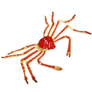 Jj Cm tBMA ͌^  zr[ l` RNV CeA ~j`A A q  v[g `bN