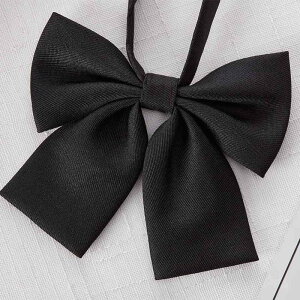 { lN^C fB[X  킢  w wZ JbW t@bV Vv ؍ fB[X   Xg[}[ ʐ^ Y |GXe