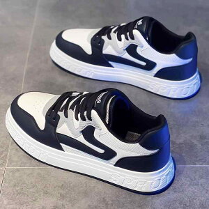 Y Xj[J[ fB[X V[Y amC tH R C 1 p_ zCgC LoX W[ X|[c 24527cm Vv