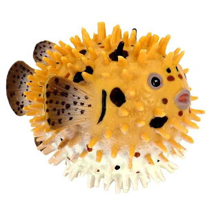 nZ{ tO JNN}m~ G[tBbV Cm tBMA ͌^  zr[ l` RNV CeA ~j`A A q