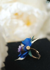 ANZT[ u[` wAs wAANZT[ w t[O G^[it[ zCgf[ Mtg fB[X t@bV