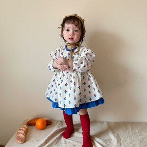 s[X hX LbY q  t@bV ؍ ̎q [^ t ԕ  킢 ̎q u[ ACXJ[g