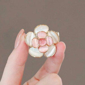 WPbg u[` w Ǝ  t@bV t[ Ip[ u[` X[c RT[W  s nCGh ߗ Io h~ obN