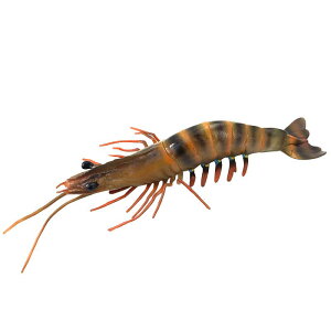 Gr Jj Cm tBMA ͌^  zr[ l` RNV CeA ~j`A A uX^[ `bN q v[g