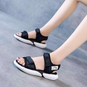 fB[X t@bV T_  V[Y ɂ y JWA X|[c AEghA  Oo  fB[X w