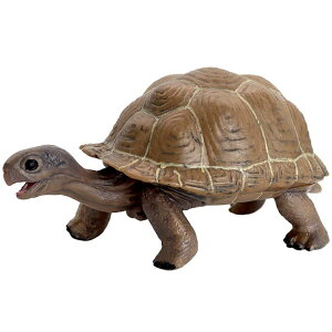 �J�� �C�m���� �t�B�M���A �͌^ �������� �z�r�[ �l�` �R���N�V���� �C���e���A �~�j�`���A ���A�� �`�b�N �q�� �v���[���g ����