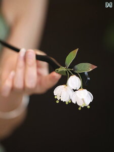 񂴂 wAs l wAANZT[  VN Ǝ  i GL]`bN GXjbN Mtg fB[X t@bV