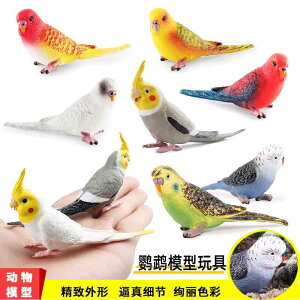 鳥 フィギュア 模型 人形 おもちゃ ホビー ガーデニング オーナメント コレクション インテリア ミニチュア プレゼント バード シミュレーション 動物 オカメインコ 子供 教育