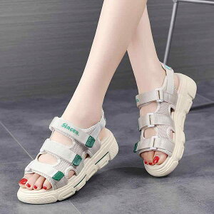 fB[X t@bV T_  V[Y ɂ y JWA X|[c AEghA  Oo  fB[X w