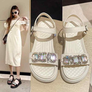 fB[X t@bV T_  V[Y ɂ y JWA X|[c AEghA  Oo  fB[X w