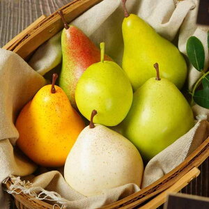 Hi Tv A { H  miV ʎ tFCN t[c f er Be    EBhE fBXvC 