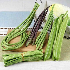 Hi Tv A { H ʕ  Hi jjN ^}lM  LE R gERV Lrlbg Ƌ _炩   tFCN