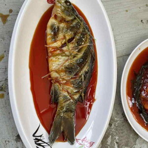 Hi Tv A { H ti  ύ Xg fBXvC i f er Be  tFCN